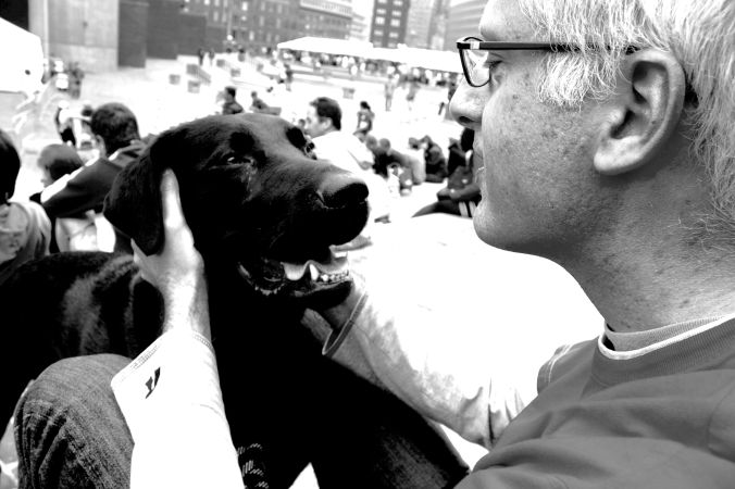 boston government center black labrador gaetano 4