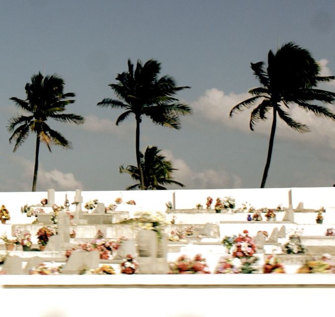 cayman islands cemetary sea view