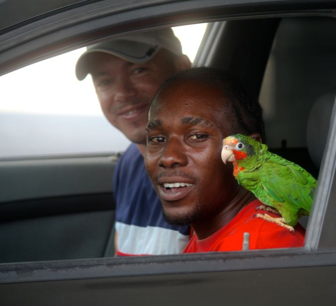cayman islands gas station man with parrot on shoulder
