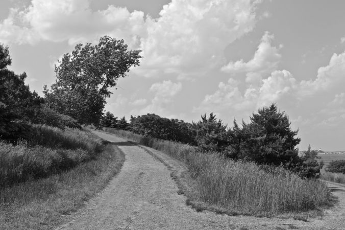 boston harbor spectacle island path black white