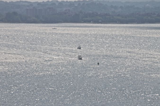 boston harbor spectacle island water way sunlight