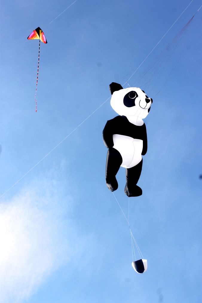 boston revere beach National Sand Sculpting Festival panda kite 2