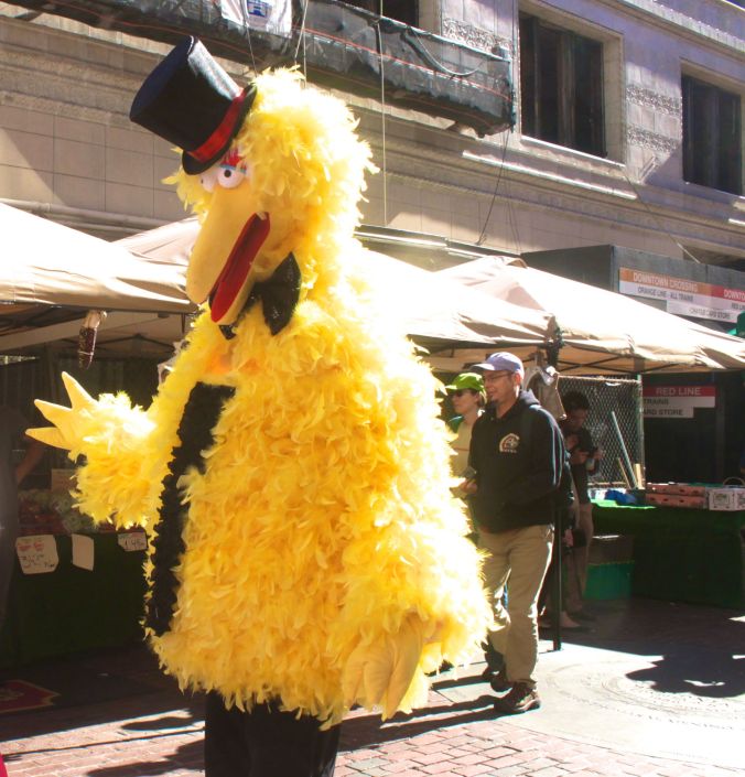 boston running with bridesmaids 2013 63