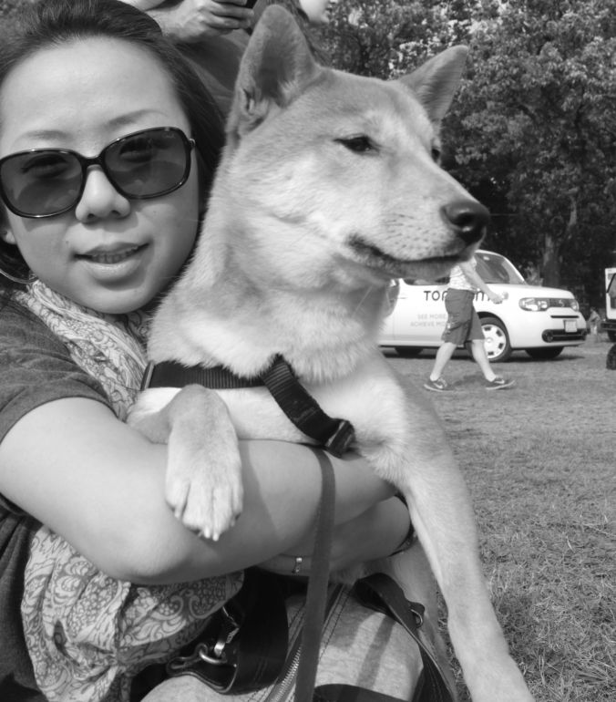 boston charles river shiba inu 7