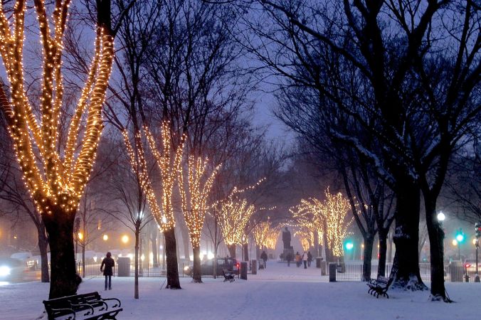 boston commonwealth avenue snow december 14 1