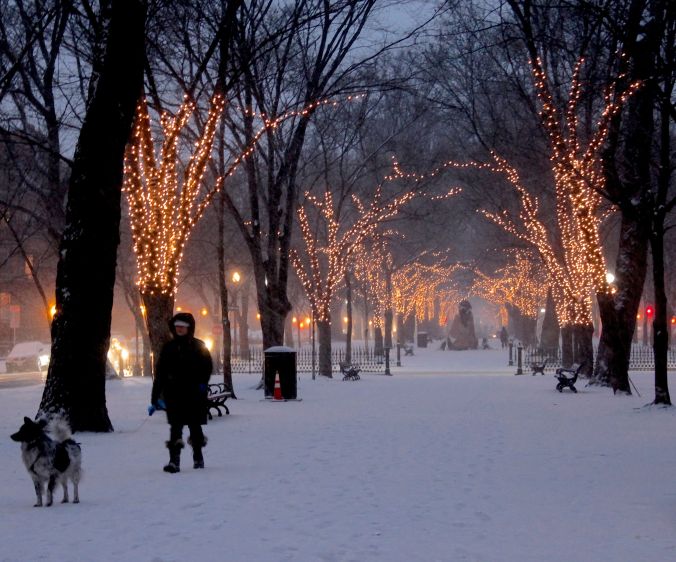 boston commonwealth avenue snow december 14 7