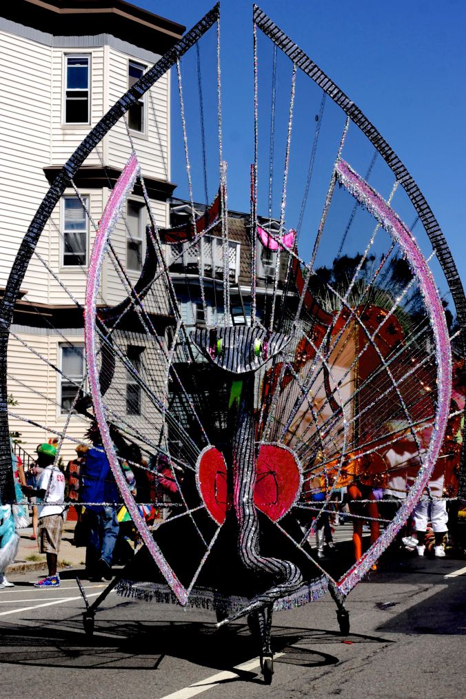 boston cambridge cambridge carnival september 7 05