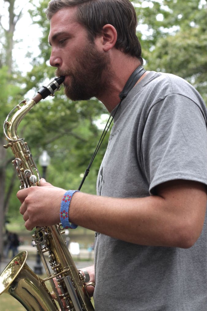 boston hemp fest 2014 park street people 2