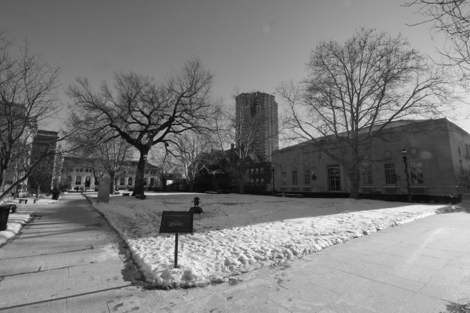 springfield downtown museum square