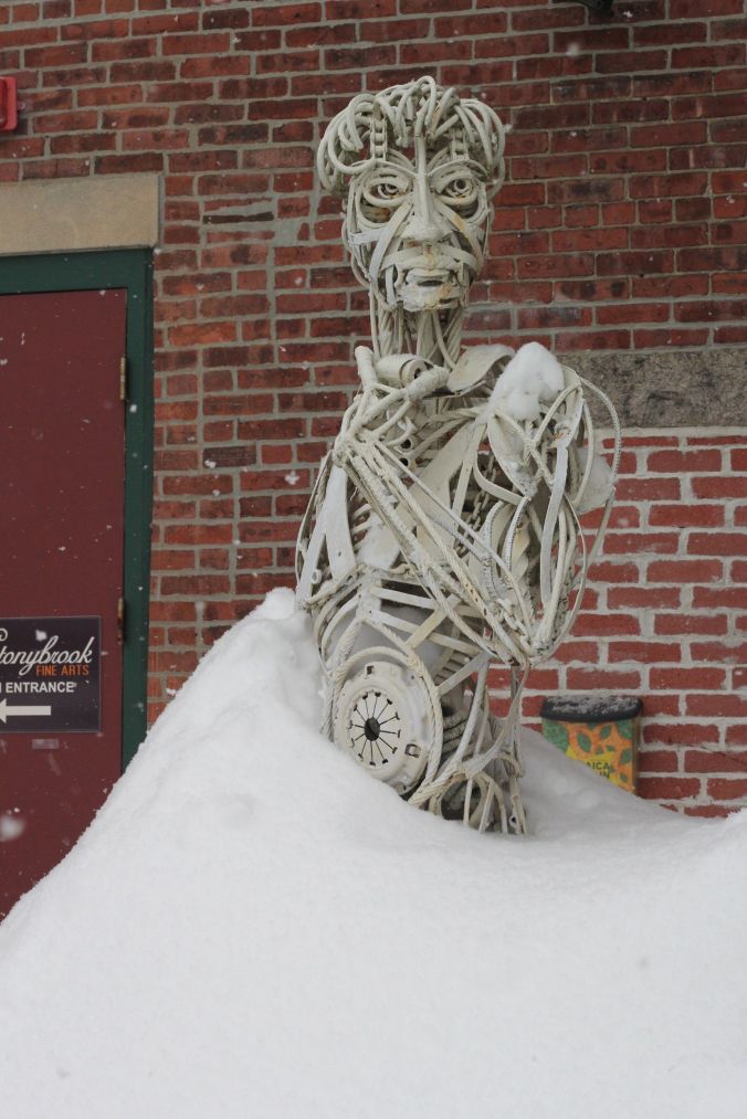 boston jamaica plain winter february 17 2015 david wires