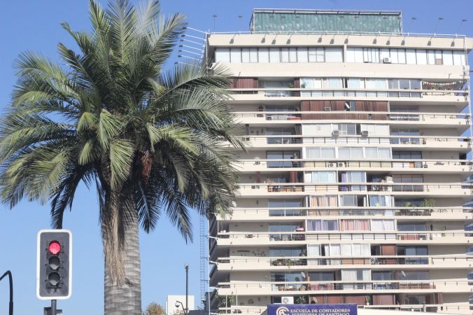chile santiago palm tree apartment building