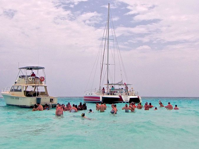 cayman islands stingray city stingrays 1