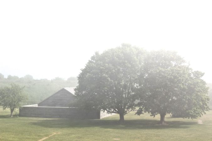 boston harbor island george's island fog trees 5