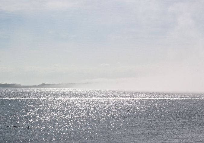 boston harbor island george's island water light