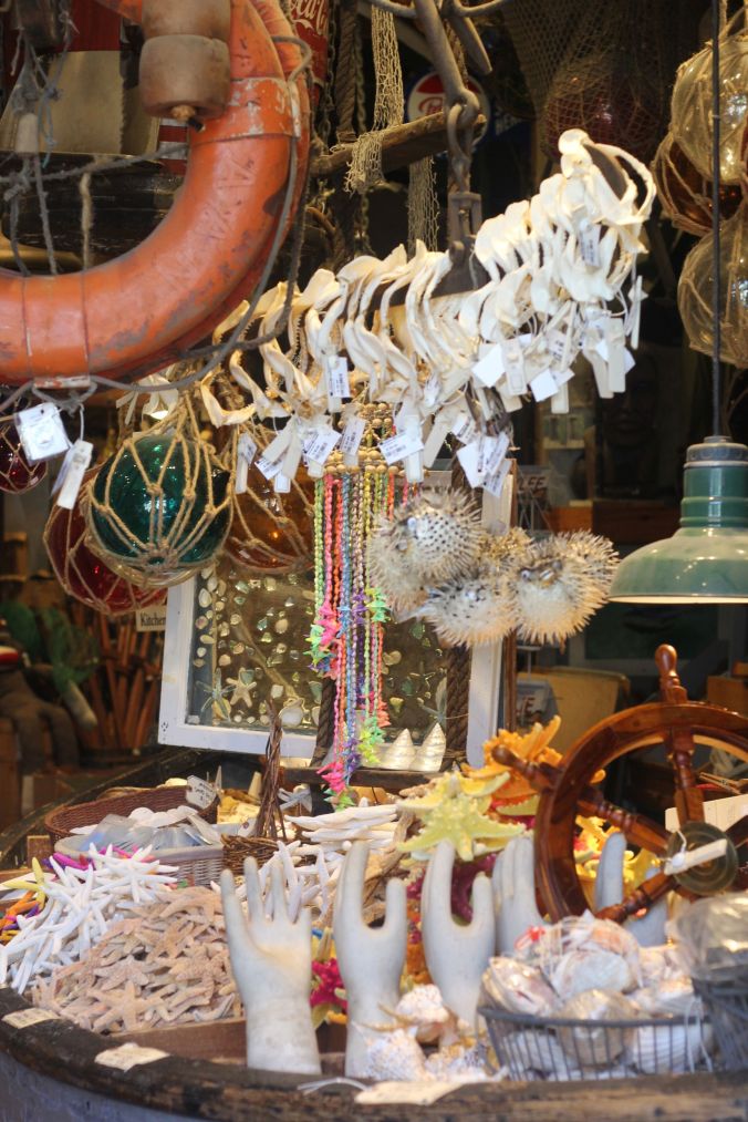 provincetown commercial street marine specialities store hands shells