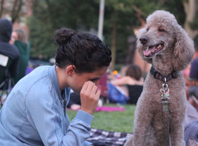 boston hatch shell night movie people person with dog 2