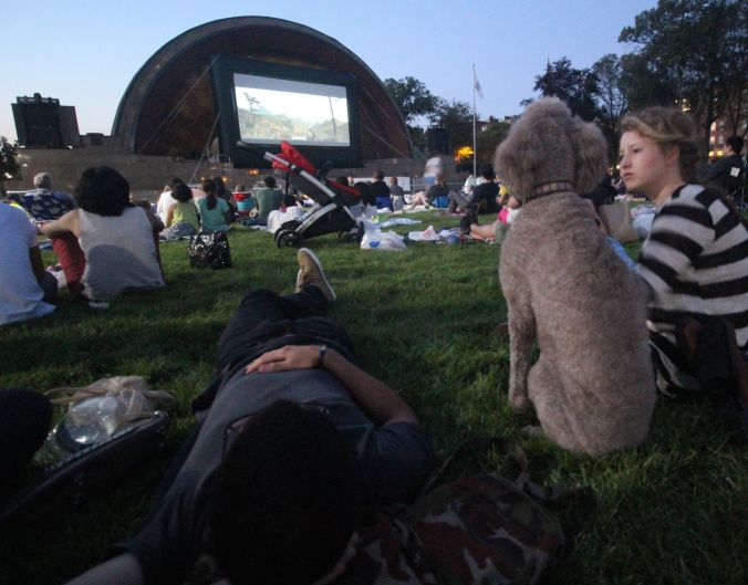 boston hatch shell night movie people woman with dog 1