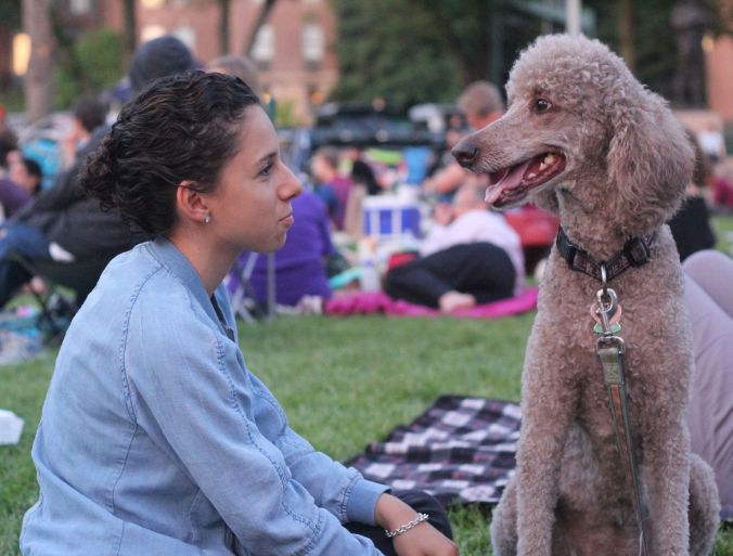 boston hatch shell night movie people woman with dog