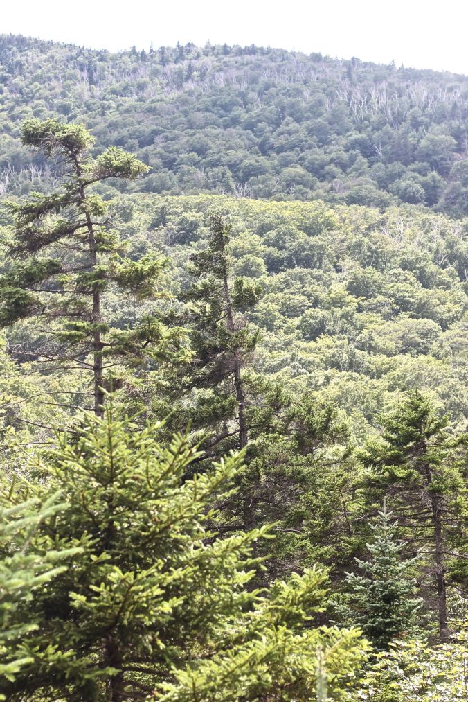 new hampshire woodstock white mountains lost river mountain view 2