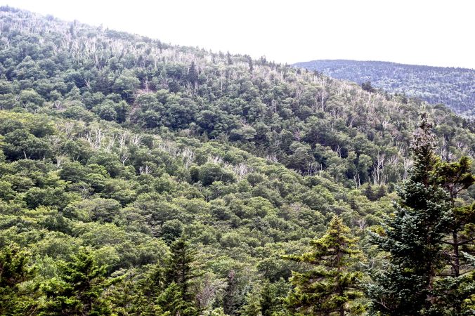 new hampshire woodstock white mountains lost river mountain view 3