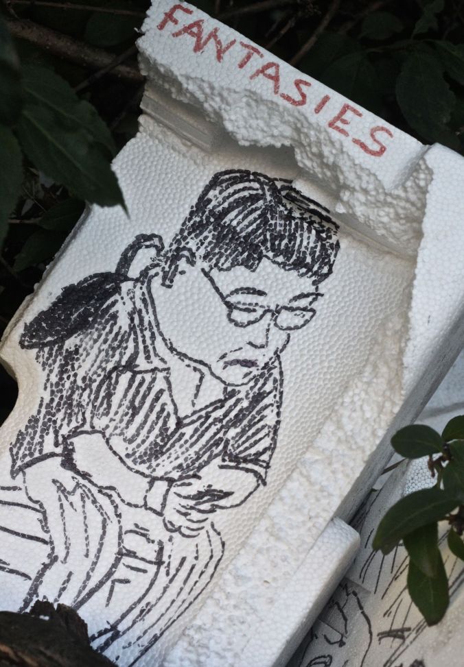 boston jamaica plain picture on fence 12