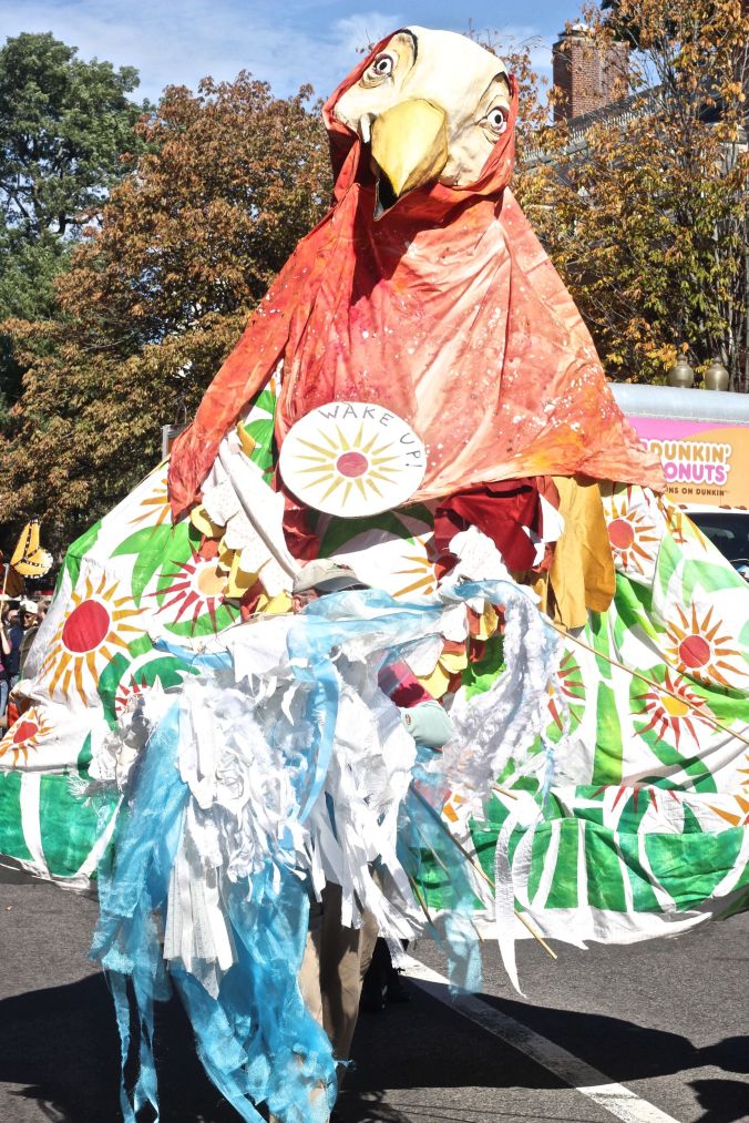 cambridge honkfest october 11 2015 28