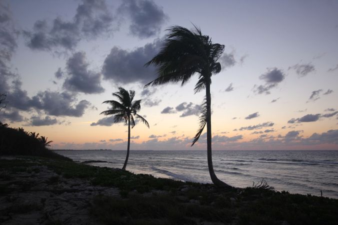 cayman islands palm trees at sunset
