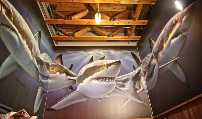 maine mount desert island bar harbor geddy's sharks