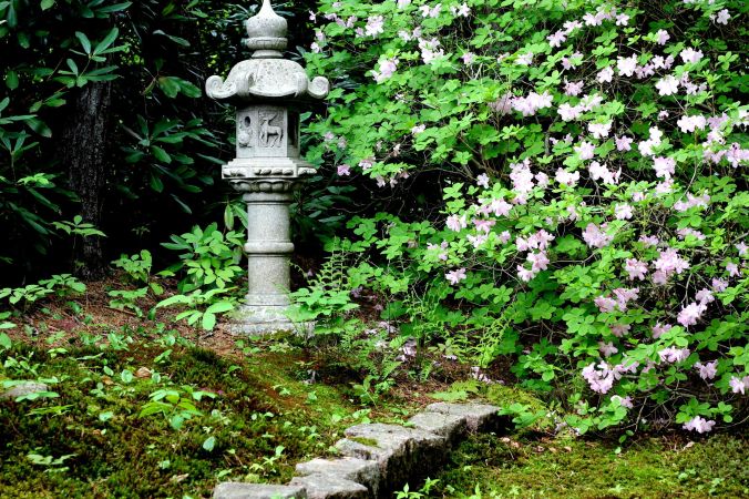 maine mount desert island azalea garden view