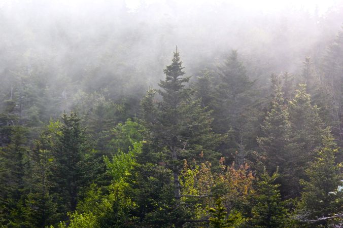 maine mount desert island cadillac mountain mist 4