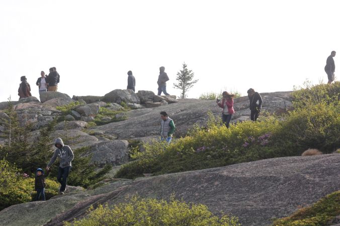 maine mount desert island cadillac mountain summit view 4