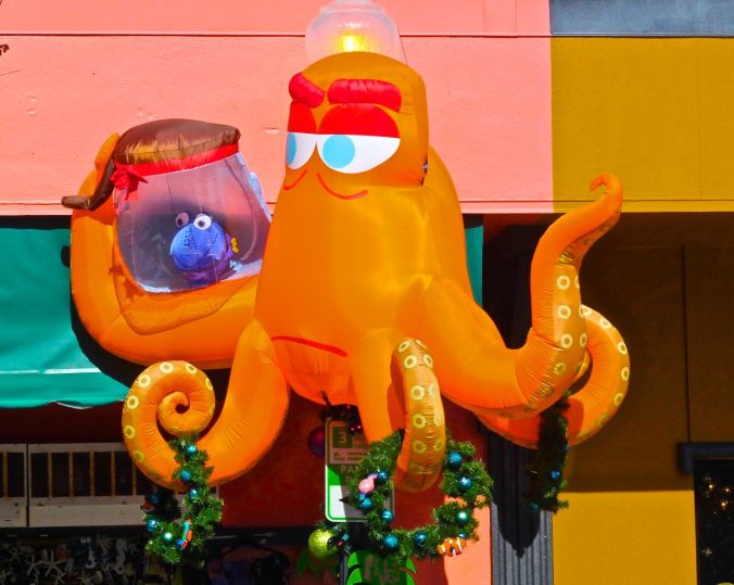 dunedin-downtown-octopus-christmas-decoration