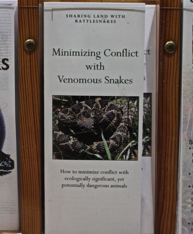lake-maggiore-florida-nature-preserve-brochure-minimizing-contact-with-poisonous-snakes