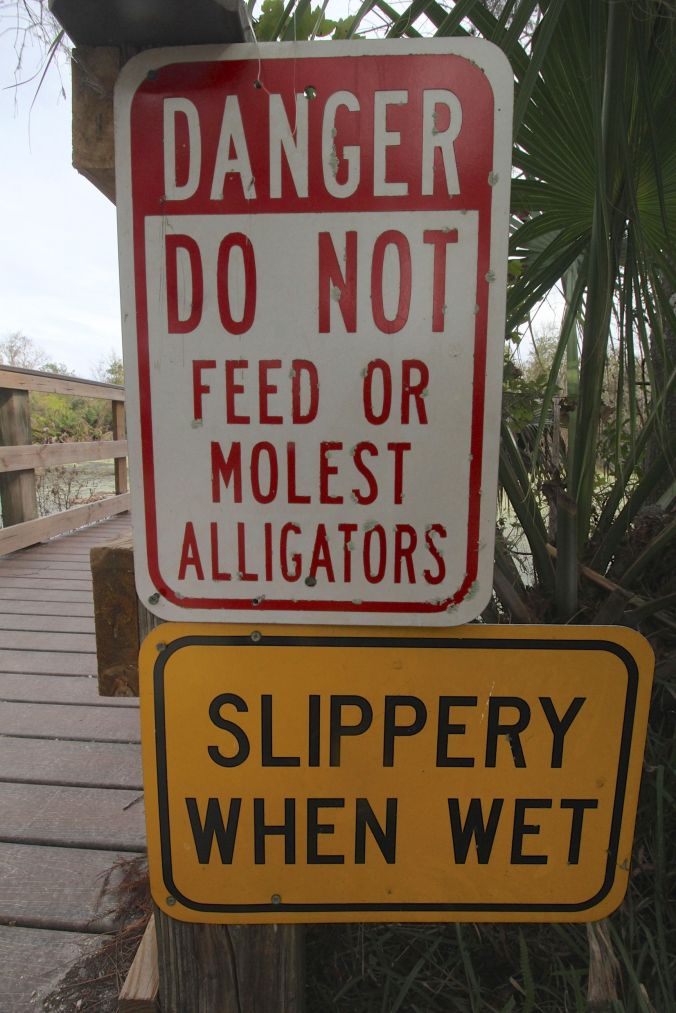 lake-maggiore-florida-nature-preserve-do-not-molest-alligators-sign