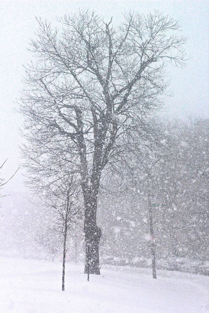 boston-snow-storm-february-9-2017-8