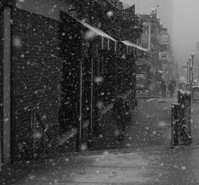 boston fenway snow 3