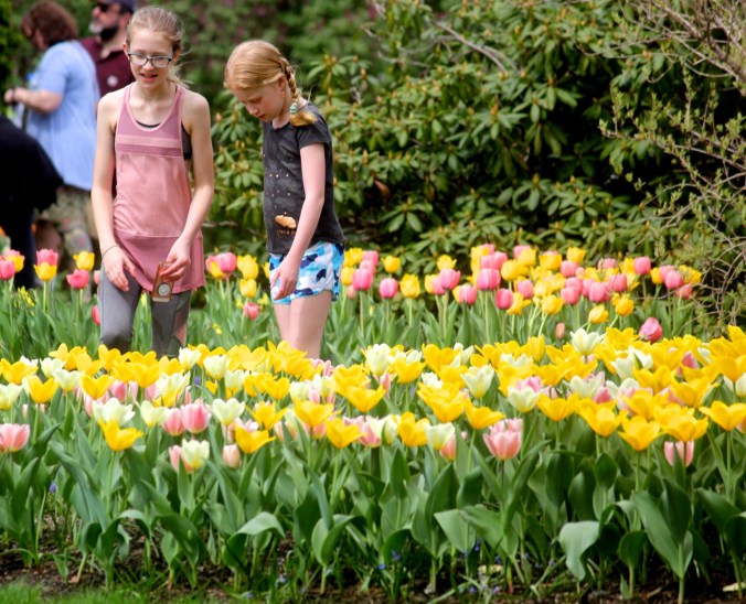 boylston tower hill botanic garden 12