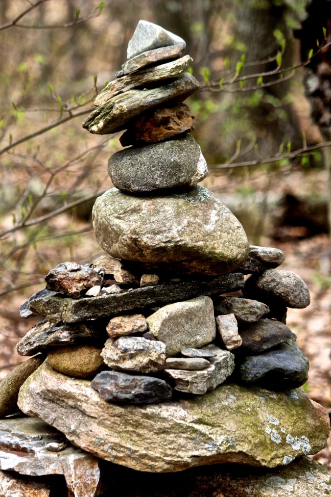 boylston tower hill botanic garden 14