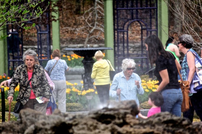 boylston tower hill botanic garden 3