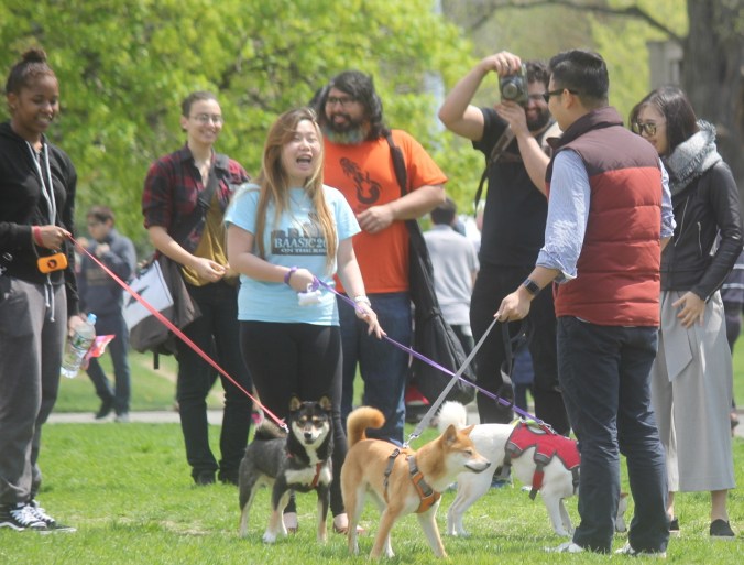 boston japanese festival 5