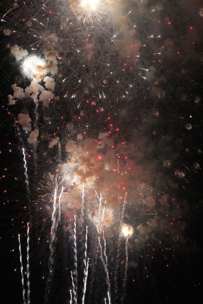 cambridge charles river fireworks 10