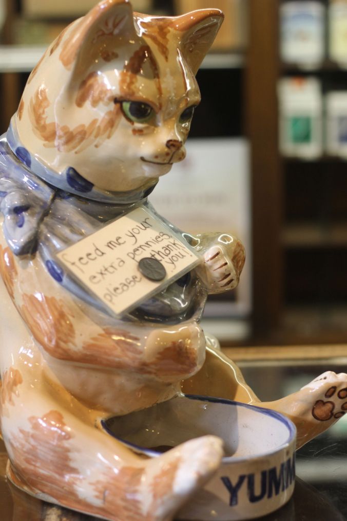 cambridge Leavitt &amp; Peirce shop porcellian cat
