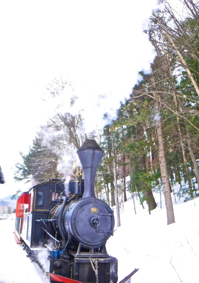 new hampshire loon ski resort steam train 3