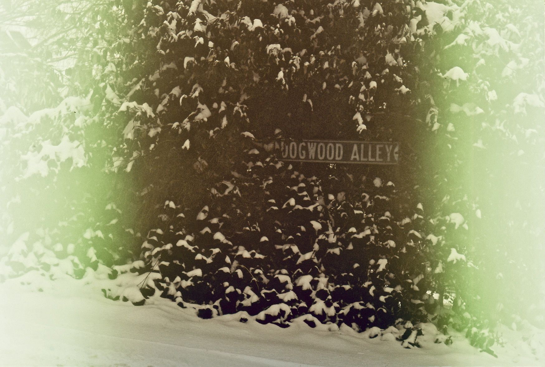 washington dc georgetown foxhall road slide film in camera for fifteen years lubitel 4