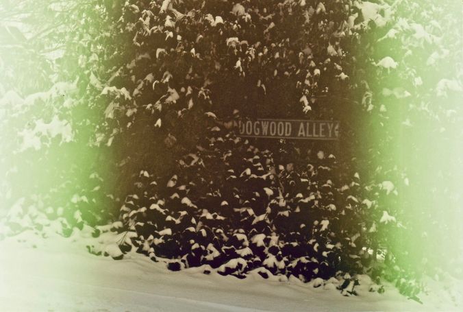 washington dc georgetown foxhall road slide film in camera for fifteen years lubitel 4