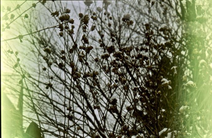 washington dc georgetown foxhall road slide film in camera for fifteen years lubitel 5