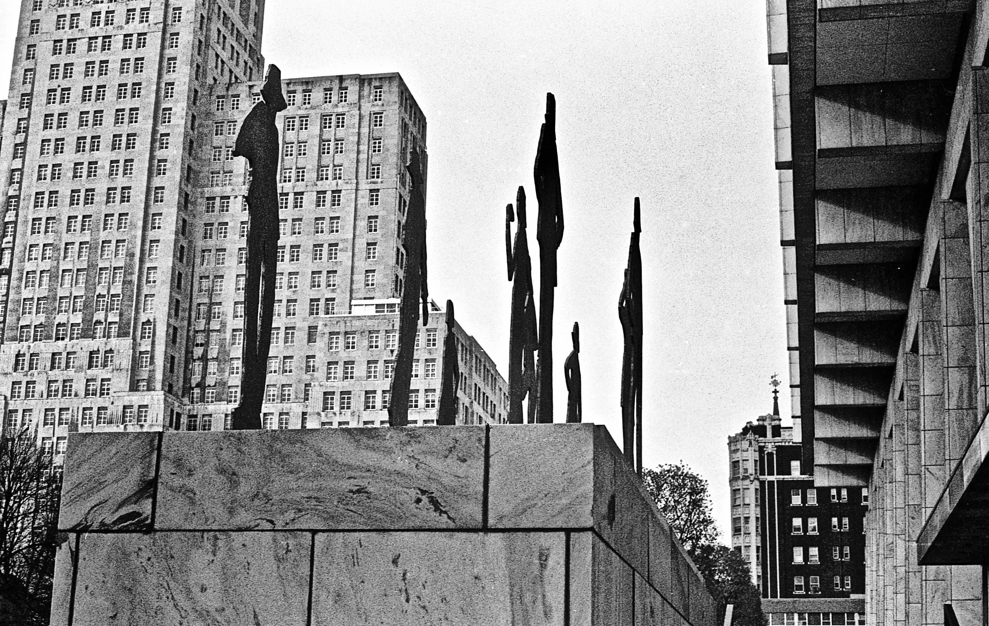 50276797488_a839ec0b59_o