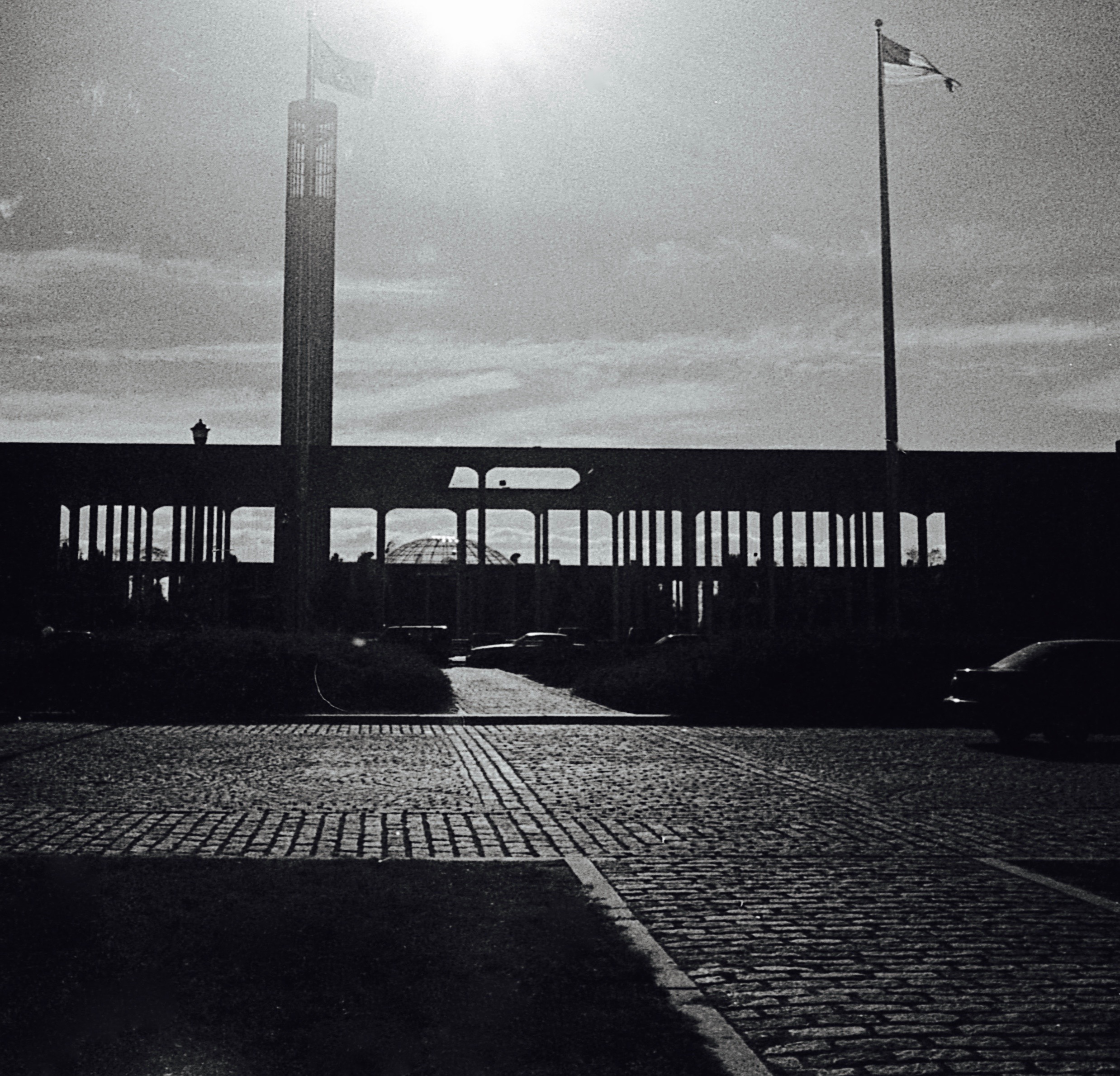 50276830778_4f9a84db45_o