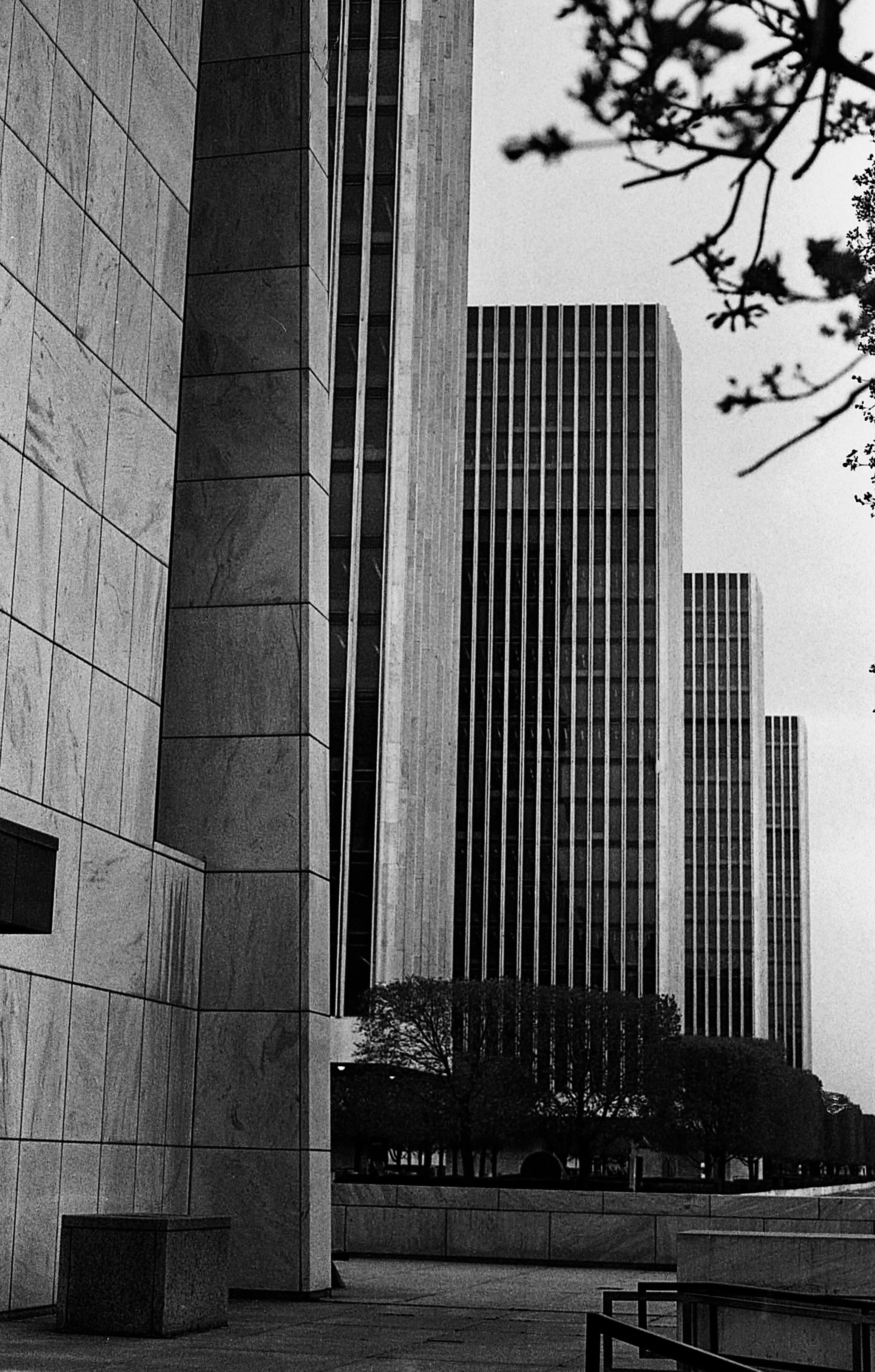 50277472931_4bc471262c_o