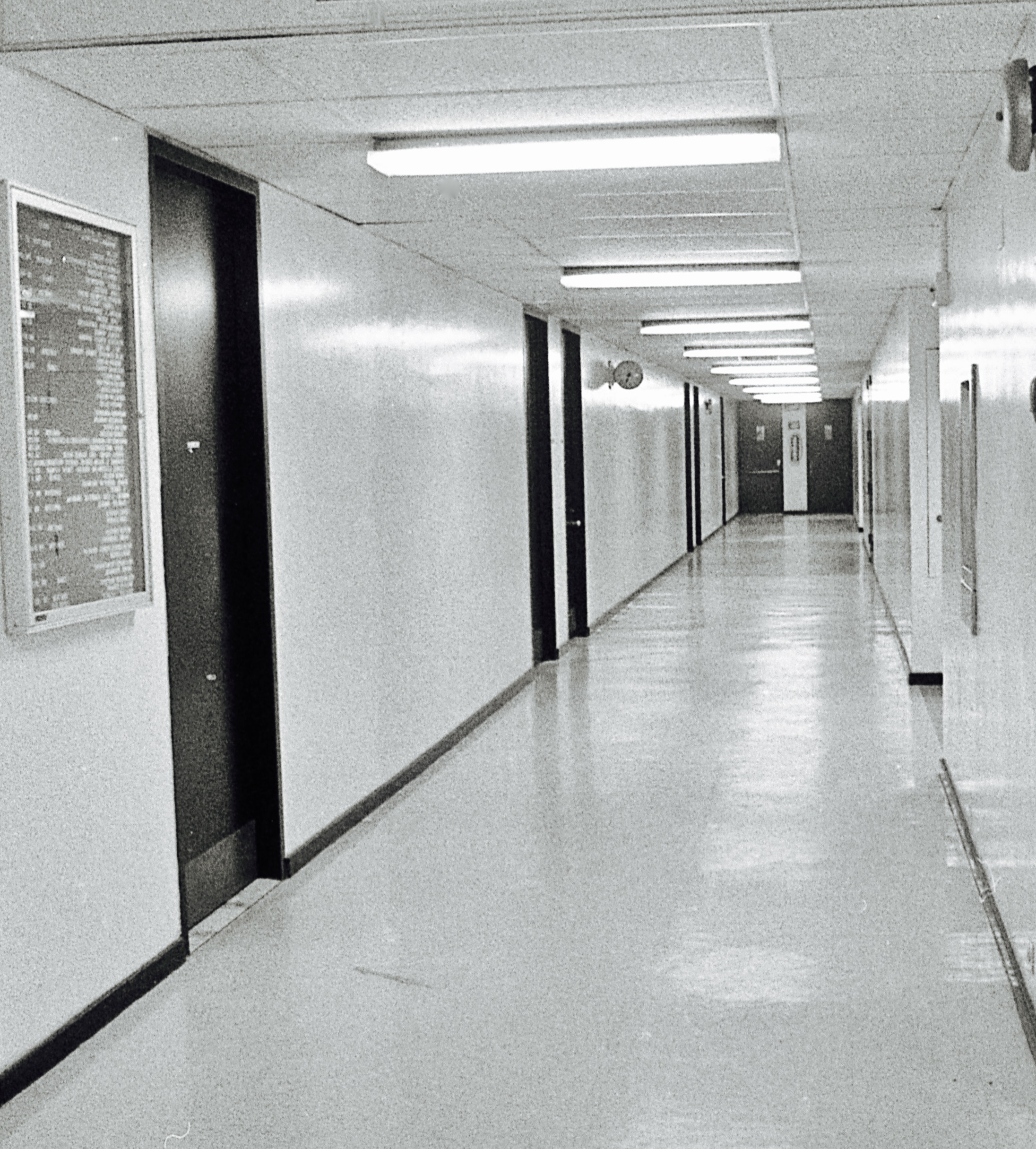 50277506761_4f5913b82e_o